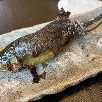 京料理 木乃婦 - 