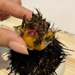 レミニセンス - 雲丹