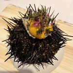 レミニセンス - 雲丹