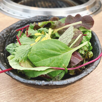 京焼肉 新 先斗町店 - 