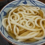 Marugame Seimen - かけうどん冷並