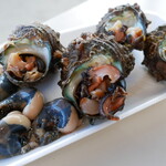 魚売り処　新鮮家 - サザエ（250円）