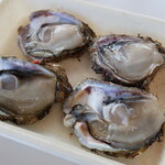 魚売り処　新鮮家 - 岩牡蠣（600円）