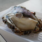 魚売り処　新鮮家 - 岩牡蠣（600円）