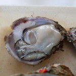 魚売り処　新鮮家 - 岩牡蠣（600円）