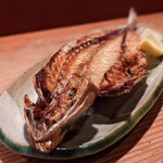 アナゴちらし小町 - 