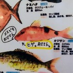 一魚一会  - メスでもオジサンwww