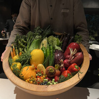 レフェルヴェソンス - 