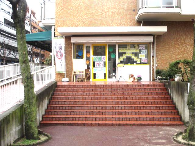 保護犬カフェ 天神橋店 Hogoken Cafe 扇町 カフェ 喫茶 その他 食べログ 保護犬カフェ 天神橋店 Hogoken Cafe 扇町 カフェ 喫茶 その他 食べログ