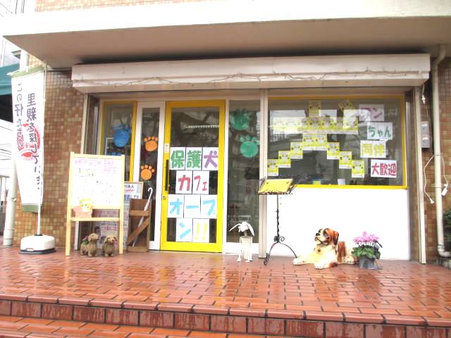 保護犬カフェ 天神橋店 Hogoken Cafe 扇町 カフェ 喫茶 その他 食べログ 保護犬カフェ 天神橋店 Hogoken Cafe 扇町 カフェ 喫茶 その他 食べログ