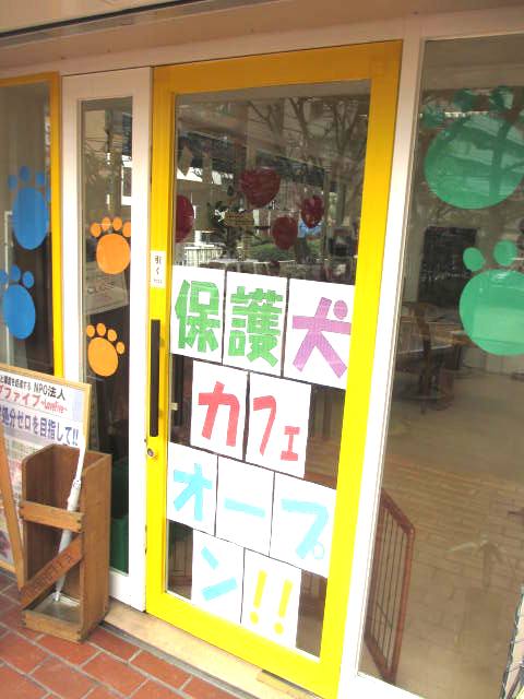 保護犬カフェ 天神橋店 Hogoken Cafe 扇町 カフェ 喫茶 その他 食べログ 保護犬カフェ 天神橋店 Hogoken Cafe 扇町 カフェ 喫茶 その他 食べログ