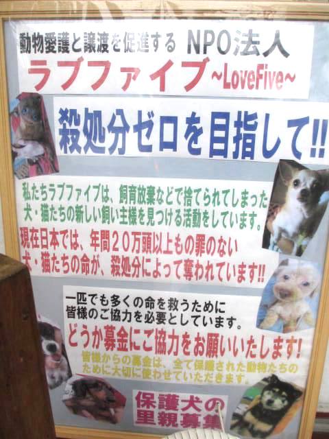 保護犬カフェ 天神橋店 Hogoken Cafe 扇町 カフェ 喫茶 その他 食べログ 保護犬カフェ 天神橋店 Hogoken Cafe 扇町 カフェ 喫茶 その他 食べログ