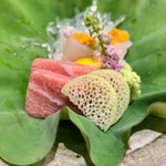 鮨 神戸まつもと - 