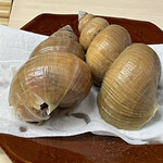 片折 - 青バイ貝　貝殻の薄さが判るでしょうか？