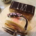 マッターホーン - サクラとダミエ・・・って書くと女子二人組みたい（笑）