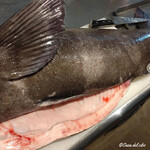 カーサ・デル・チーボ - 厳選素材 油坊主