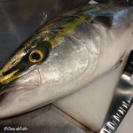 カーサ・デル・チーボ - 厳選素材 稚鰤