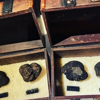 マルゴット エ バッチャーレ - 