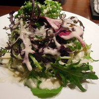 北新地 福多亭 The Ukai - たっぷりの有機野菜サラダ◎