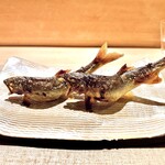 常 - 鮎の塩焼き
