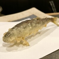 天ぷら 小宮山 - 鮎