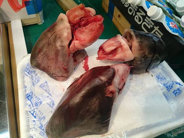 東一商店 - 東塩釜（その他）の写真