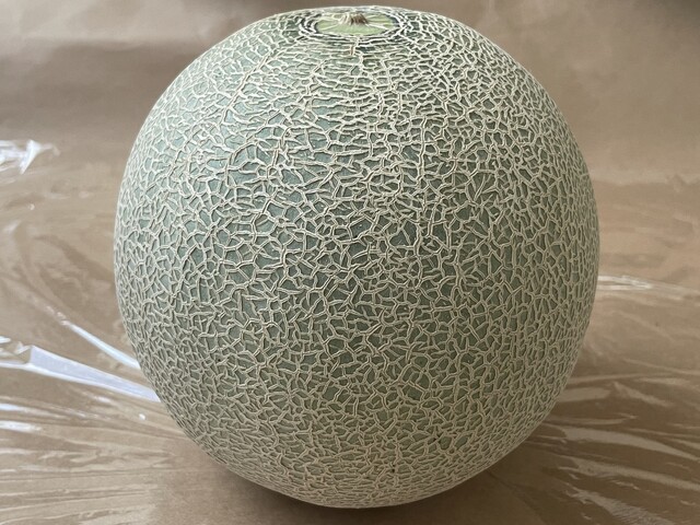 JA鶴岡 西郷選果場 直売所 - 鶴岡（その他）の写真