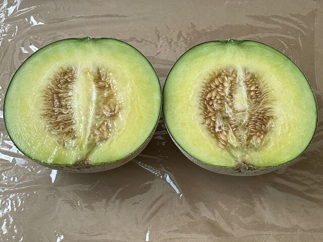 JA鶴岡 西郷選果場 直売所 - 鶴岡（その他）の写真