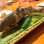 Kyou Sushi - 