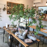 Corolle cafe - 