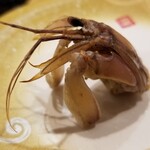 回転寿し トリトン - シャコくんは、立てても