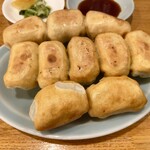 ファイト餃子 - 餃子10個セット