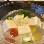 179550631 - からし豆腐と絹豆腐の冷や奴