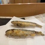 秋田 てんぷら みかわ - 