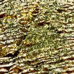 お好み焼き 鉄ちゃん - これでいつでも食べたくなったらこの店に来れば良いんだと思うと安心です！