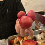 寿し処 春道 - タマゴダケ