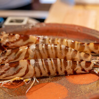 日本料理 別府 廣門 - 2022.7 佐伯産活け超巨大天然車海老