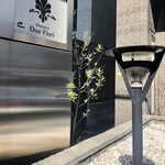 リストランテ ドゥエ フィオーリ - 