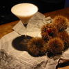 Bar SPICULE