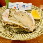 Ajigo Yomi Ambe - ◎鳥取の天然岩牡蠣「夏輝」