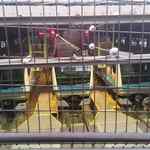 黒松本舗 草月 - 操車場の下十条運転区に停車している京浜東北線の車両を見ながらハケを下り