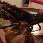 オマール家プートゥリェー - 