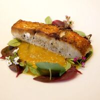 macua - 