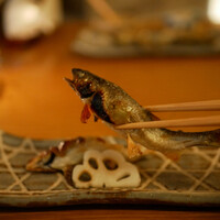 京料理 本家たん熊 本店 - 苦味が爽やかな広がりをみせ、自然なえんみがおいしさを彩ります。
                旨味、甘み、香り、苦味、えんみが心地よく重なるり季節を伝える逸品。