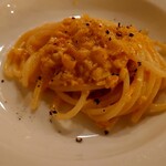 Torattoriadapupi - 