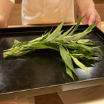 伊勢 三玄 - これがタデの葉