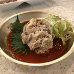 hyonchampurukogi - 