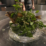 Alternative - 鮎、クレソン
      鮎の身の酢締めをキューリで巻いた物と、鮎のパテ、キューリのソース。