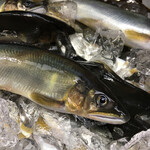 はやせ鮎 宮城鮎工房 - 