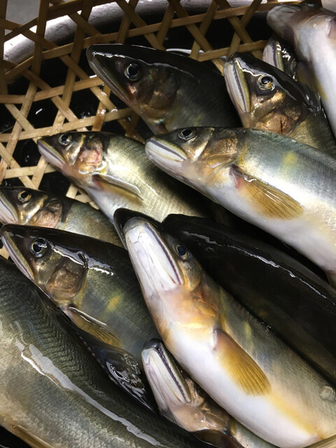 はやせ鮎 宮城鮎工房 &ndash; 西古川｜加美町の鮎料理専門店